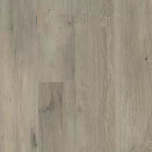 SIMPLICITY PLUS ALLOY