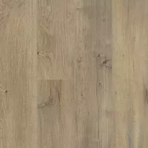SIMPLICITY PLUS FORGE