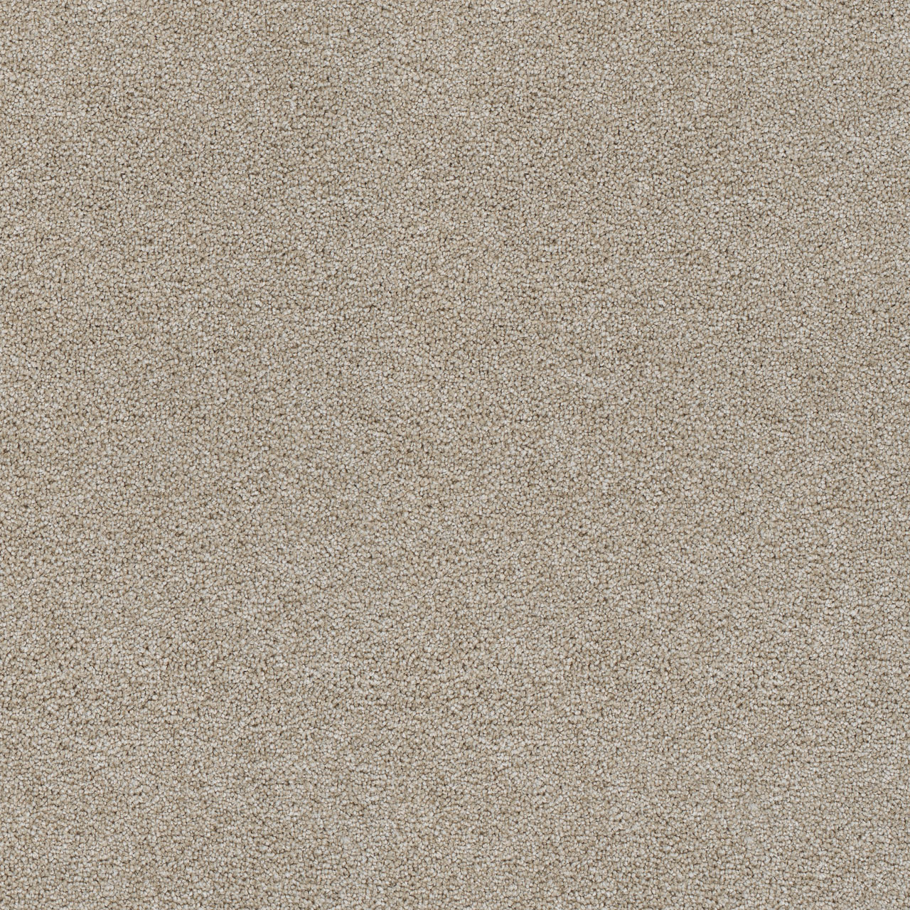 beach-sand